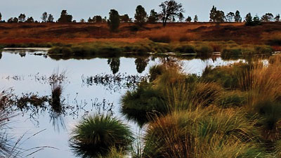What is a Fen?