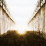 Image representing The Island: Two high walls with barbed wire and a rising sun.