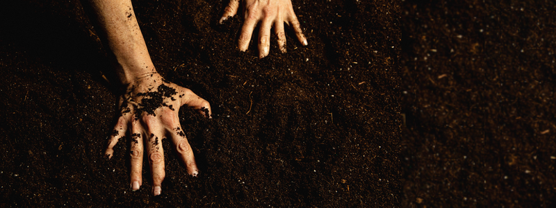 A set of hands in dirt