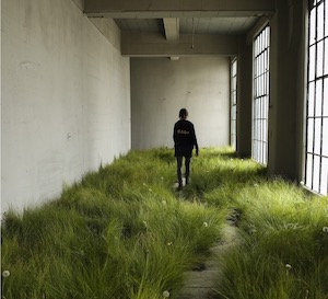 A sparse, dark room with lush grass at the bottom. A figure walks towards the far wall with their back turned to the viewer.
