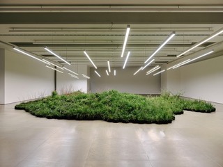 An empty, commercial space with hanging lights and a patch of green plants in the middle of the room.