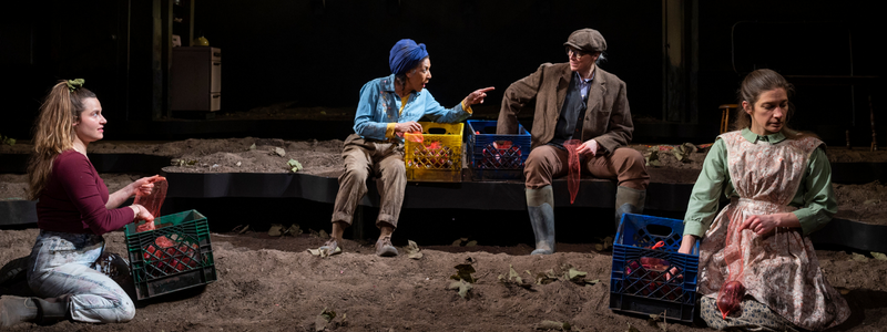 Four women sit in fields and bag onions; the two women in the center are looking at one another, and the woman on the left is pointing at the woman on the right.