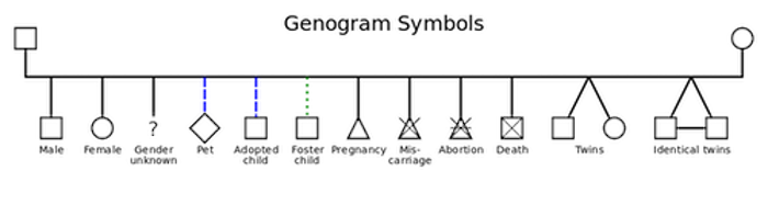 A chart of genogram symbols. A square represents a male. A circle represents a female. A question mark represents a person with an unknown gender. A blue dashed line connected to a diamond represents a pet. A blue dashed line connected to a square represents an adopted child. A green dotted line connected to a square represents a foster child. A triangle represents a pregnancy. A triangle with an "x" through it represents a miscarriage. A triangle with an "x" through it and a horizontal through the "x" represents an abortion. A square with an "x" through it represents a death. Two diagonal lines forming an upside down "v" connecting to shapes representing individuals means twins; two diagonal lines connecting to shapes representing individuals, with a third line connecting the individuals, represents identical twins.