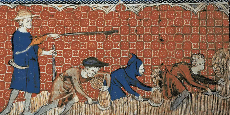 Medieval illustration of men harvesting wheat with reaping-hooks or sickle in Queen Mary's Psalter; courtesy of Wikipedia.