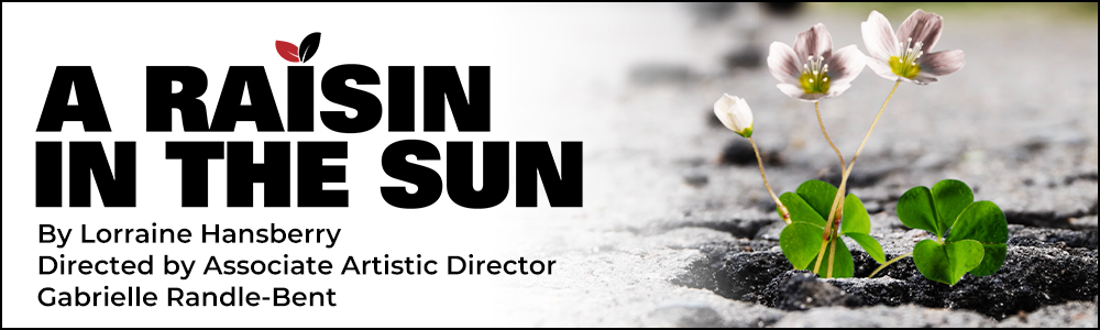 A banner promoting the play "A Raisin in the Sun." A flower grows up from a concrete sidewalk.