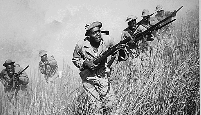 Six soldiers hold guns and squint as they navigate a hill covered in tall grass.